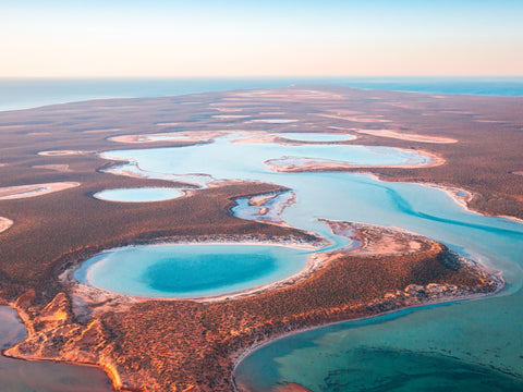 Shark Bay